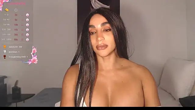 destinne_mill_ webcam