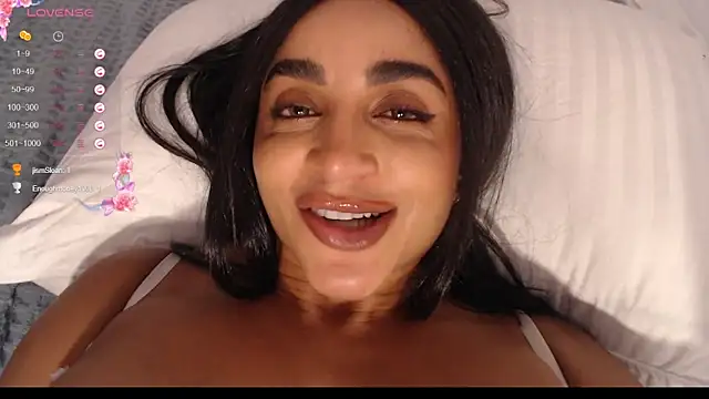 destinne_mill_ webcam