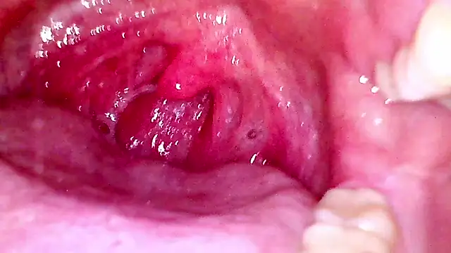 shannon_kinne_ webcam