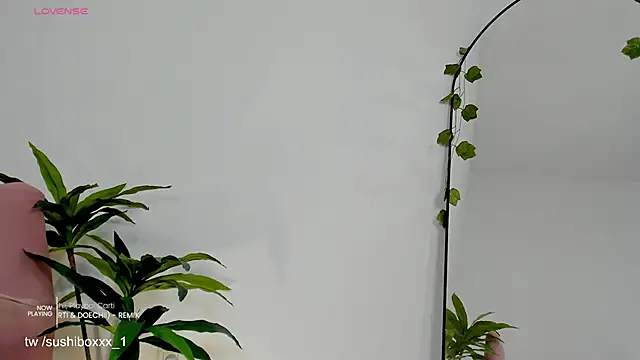 sushiboxxx - Sushiboxxx's free webcam - UK Sex Cams