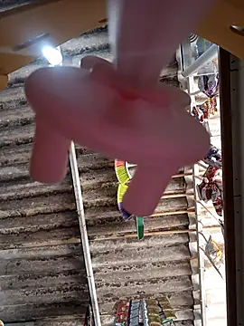 lorenasex (G milf) - Naked in the store😈