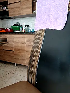 LEIRIS_Y_FRED_01 webcam