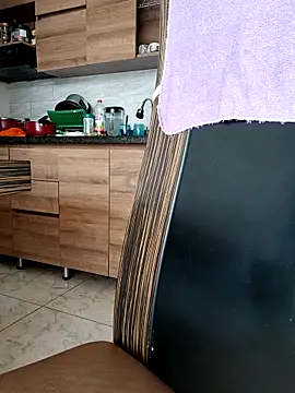 LEIRIS_Y_FRED_01 webcam