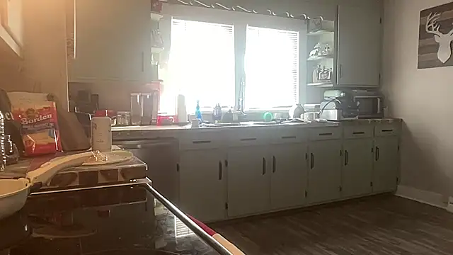 playwithdakota's Live Sex Cam Show