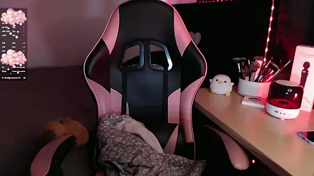 Theprojectsaraa webcam