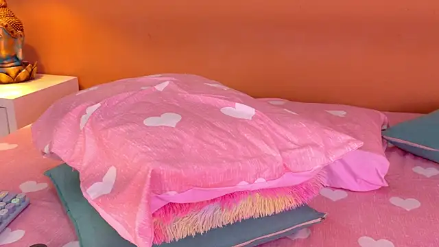 HIKARY_MIYAMOTO webcam