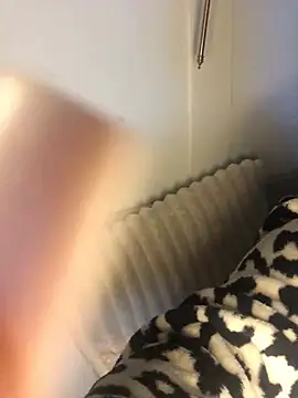 Welsh_Maya221x webcam