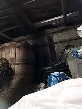 sarpe4 (Ask my age) - #big #brunettes #cam2cam #cheap-privates #daddies #hd #latin #massage #mobile #outdoor #romanian #small-audience #straight