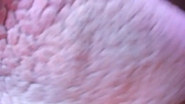 camilawhite__ (F young) - spank ass x 5