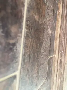 abby-ls (F young) - Doggy Style 🐶