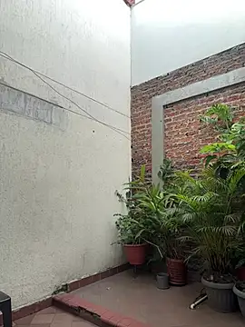 Mike_savage3 – webcam model profile photo