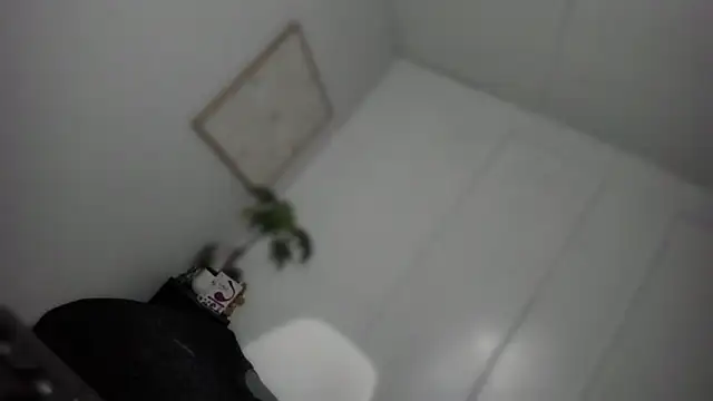 Afbeelding van TheQueenNextDoor