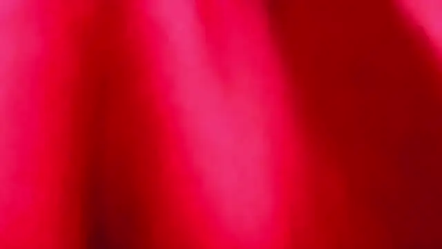 Preview of nicol-jaramillo