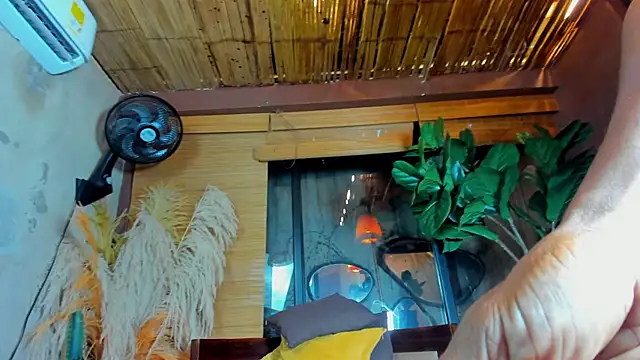 Preview of crisscollins