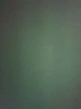 rogerlima2009 webcam