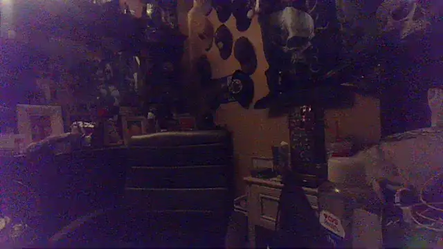 bigdaddyrooster webcam