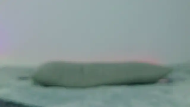 lina_lust_ - Lina_lust_'s free webcam - UK Sex Cams