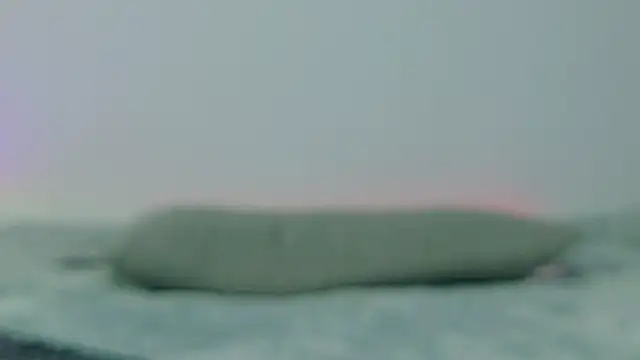 lina_lust_ (F teen) - NAKED LINA