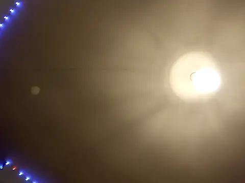 Live sex cam of lovebaby69