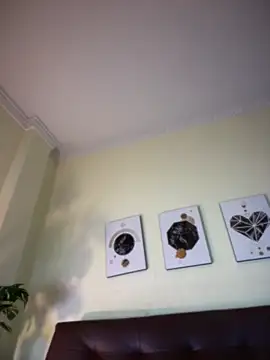 Preview of peachryder