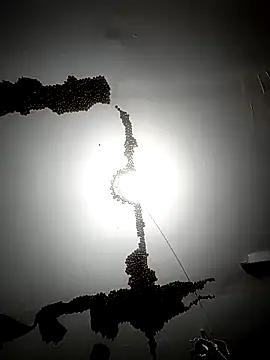 coldvisitor - ColdVisitor's free webcam