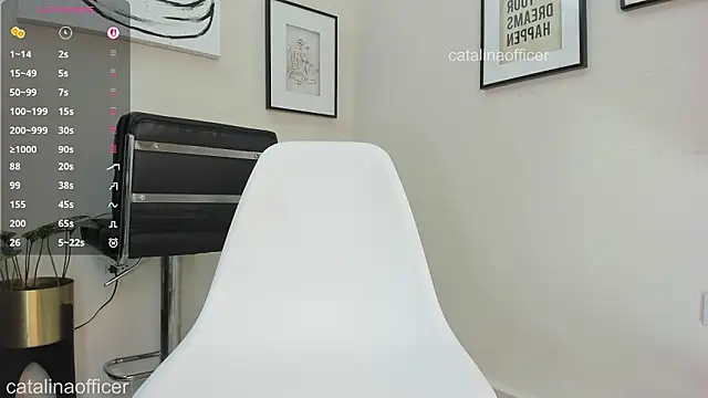 catalinaofficer webcam