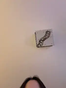 thecinderella - TheCinderella's free webcam - UK Sex Cams