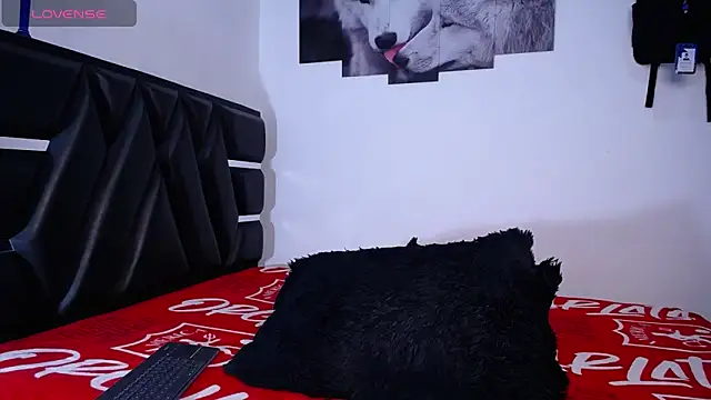 Preview of fernandoo_oficial