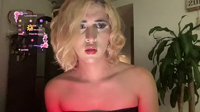 Preview of isa_fox_23