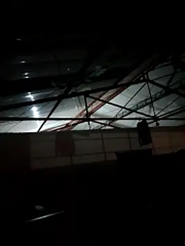 monasticcanine (M young) - Te muestro todo