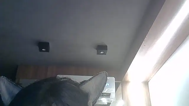 skinnykitten - SkinnyKitten's free webcam - UK Sex Cams