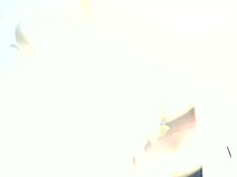 midnight_prisha webcam