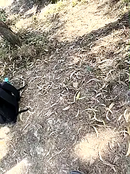 sexy_boy194 - Sexy_boy194's free webcam - UK Sex Cams