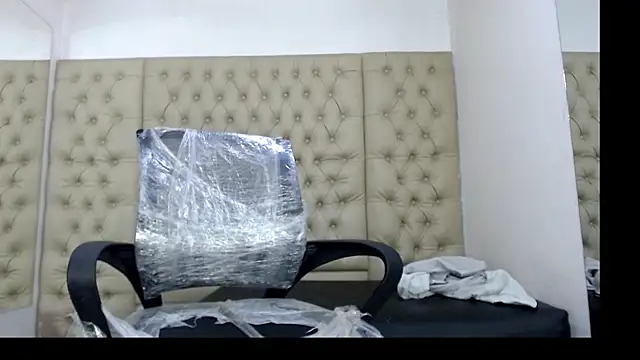 HollmanFronsh webcam