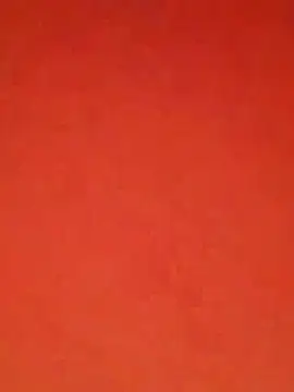 raju423204 - Raju423204's free webcam