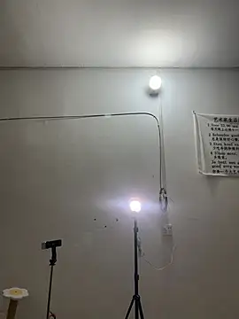 美女mitao_xx在线直播