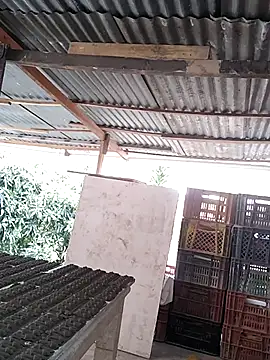 hoteder - Hoteder's free webcam