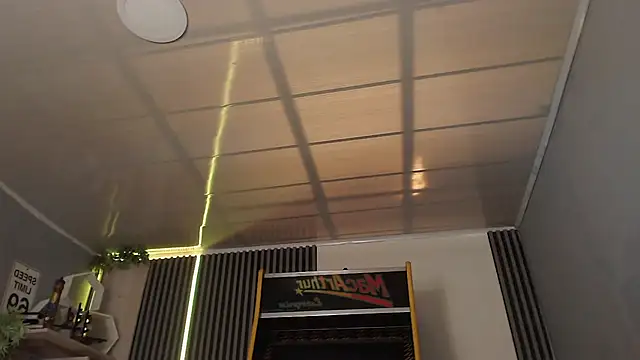 Bastian_MCcormick webcam