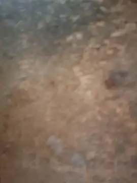 Webcam Model (JennyInVegas)  is live.Free join now!