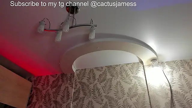 Cactus__James webcam