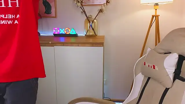 d3s_dn (M twink) - get naked