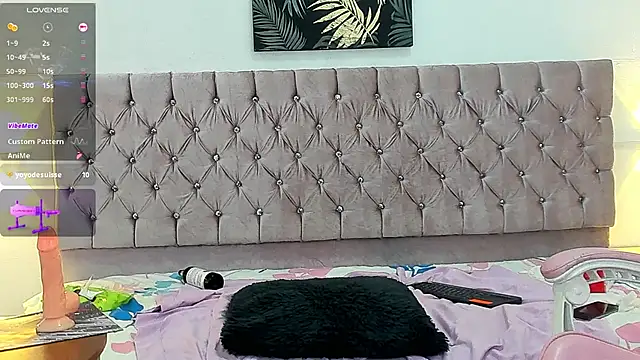 paris_laurens webcam