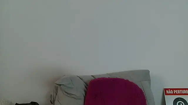 520_Loirex_741 webcam