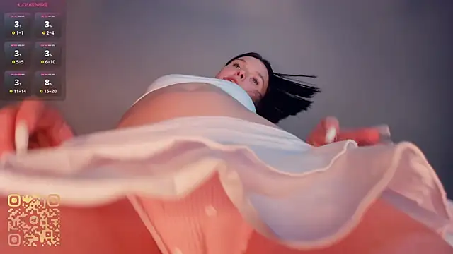 RonnieSchmertz webcam