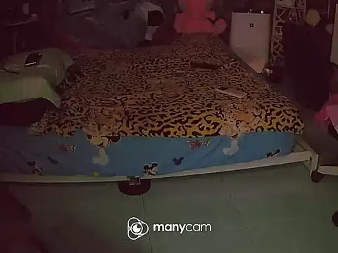 long18cmHFxxx webcam