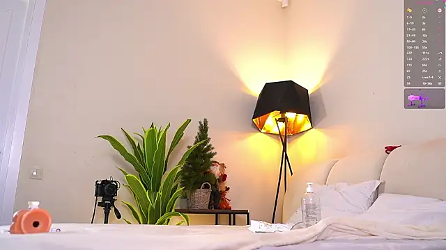 VallieBrandwein webcam