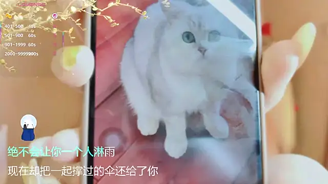 Vaidurya-Yolo webcam