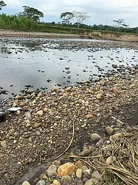 thomas_and_brush webcam