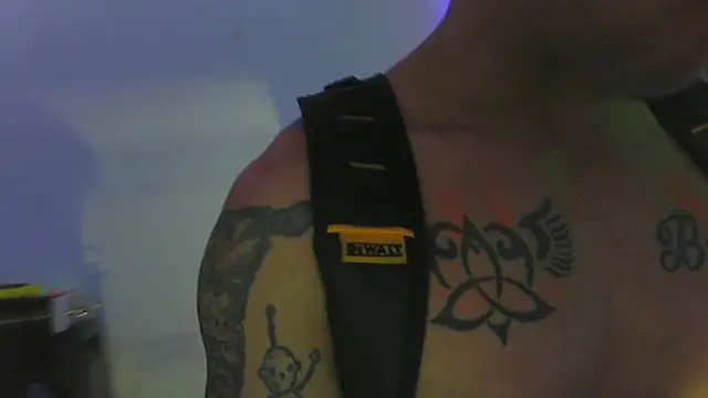 Buffshagswell webcam