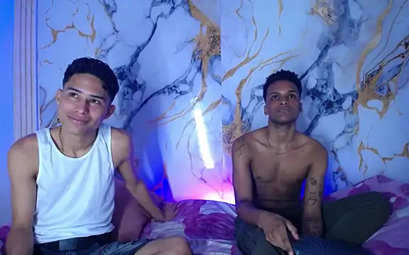 Damian_and_theo webcam